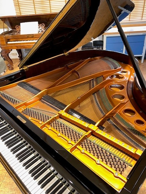 Ein Blick auf die akkustische Anlage