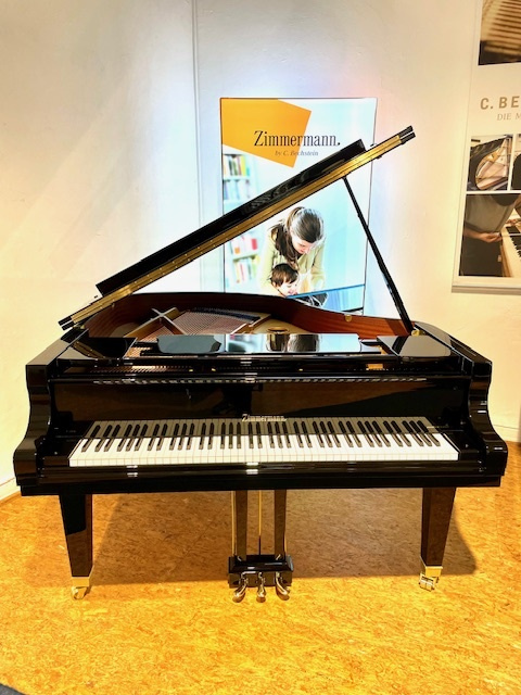 Zimmermann S160 Total