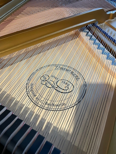 Zimmermann S160 Logo