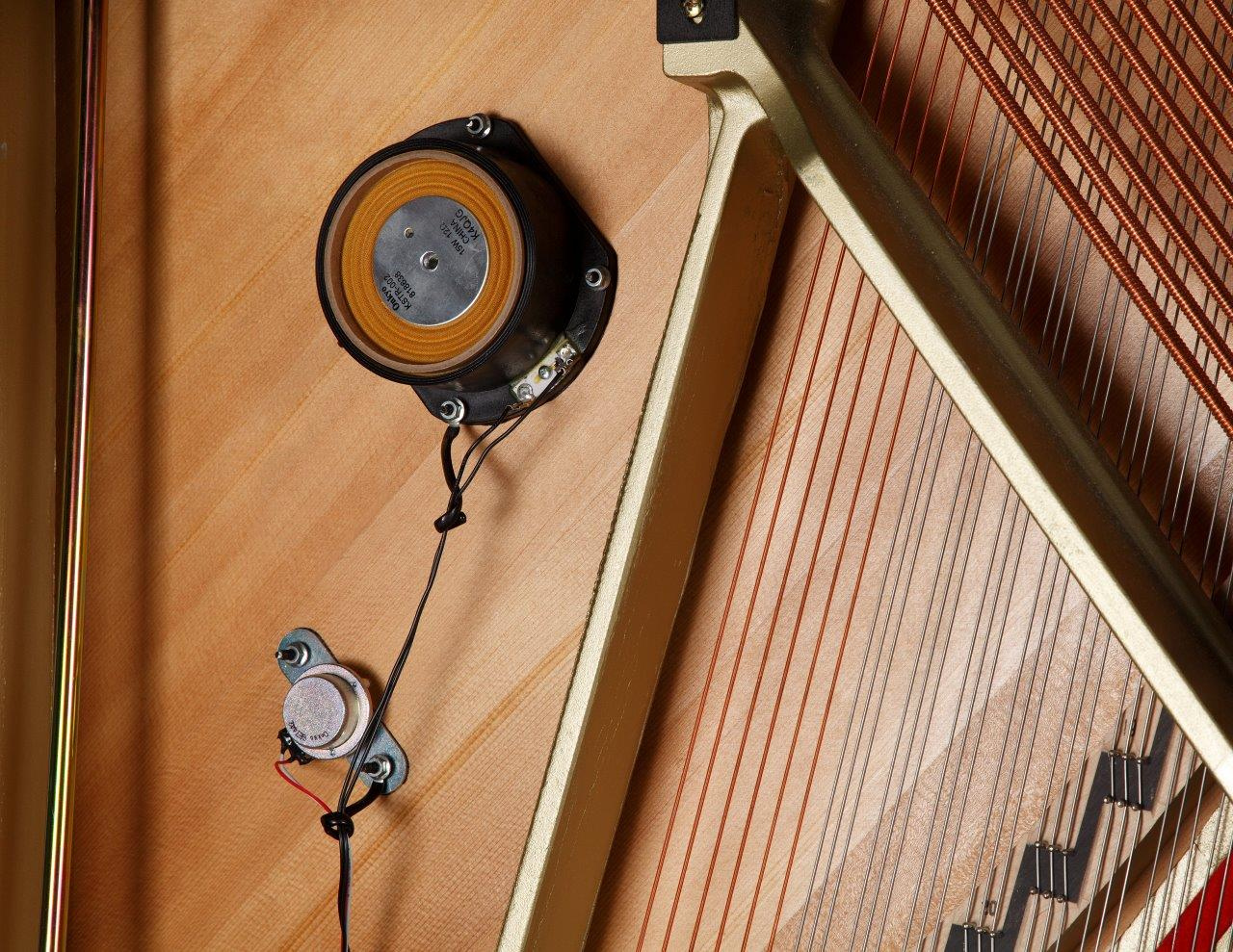 Aures Tranceducer Resonanzsboden Schwingungstreiber